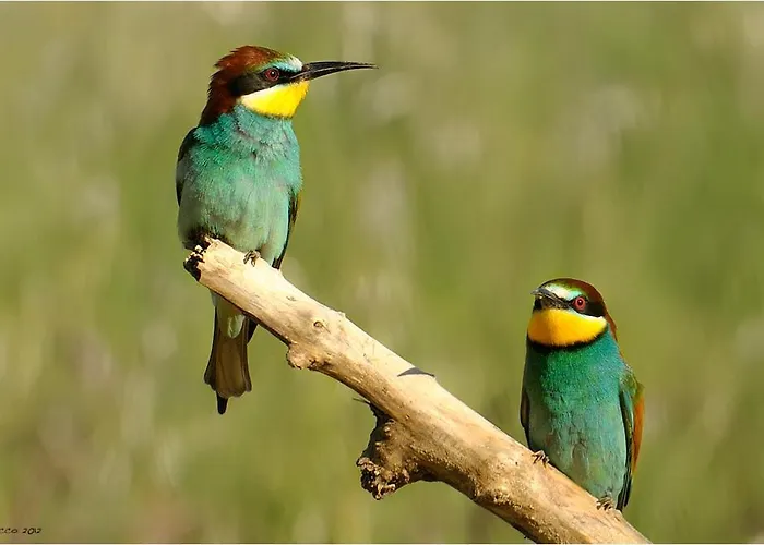 B&B Cortebella Rimini